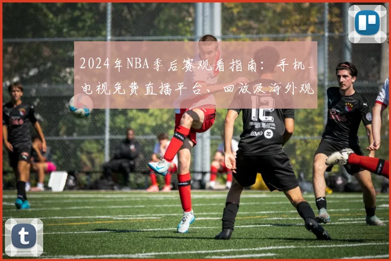 2024年NBA季后赛观看指南：手机_电视免费直播平台、回放及海外观看方法